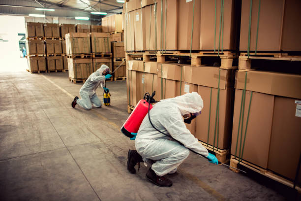 Best Residential Pest Control  in Knoxville, TN