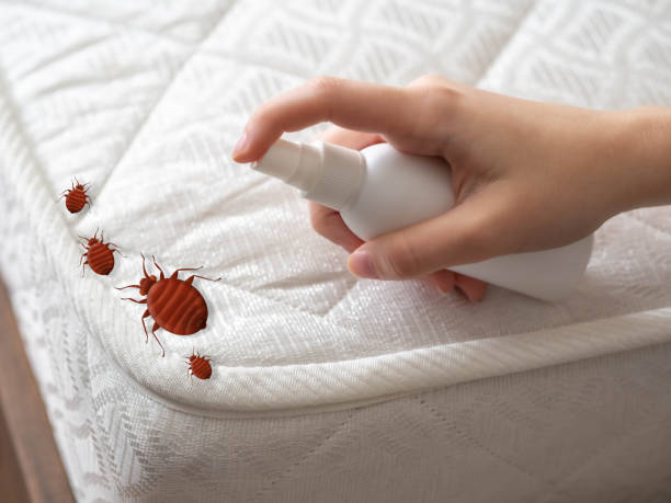 Pest Control Cost in Knoxville, TN
