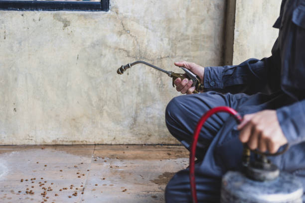 Best Best Pest Control Companies  in Knoxville, TN