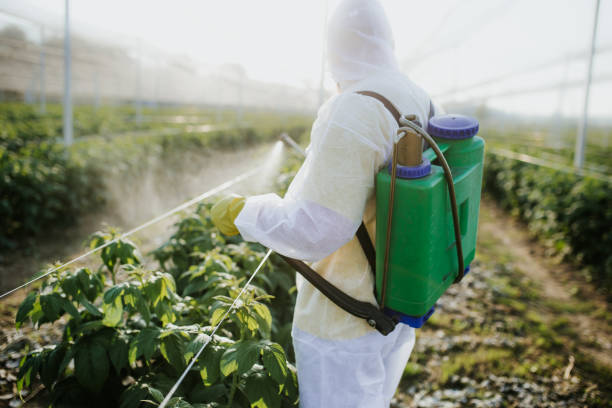 Best Affordable Exterminators  in Knoxville, TN